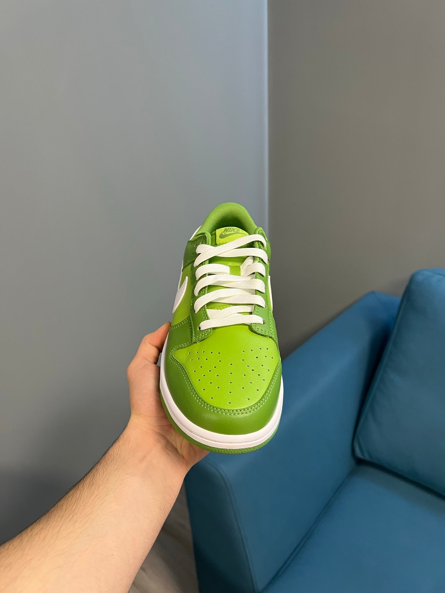 Nike Dunk Low Chlorophyll (PS) Pre-School